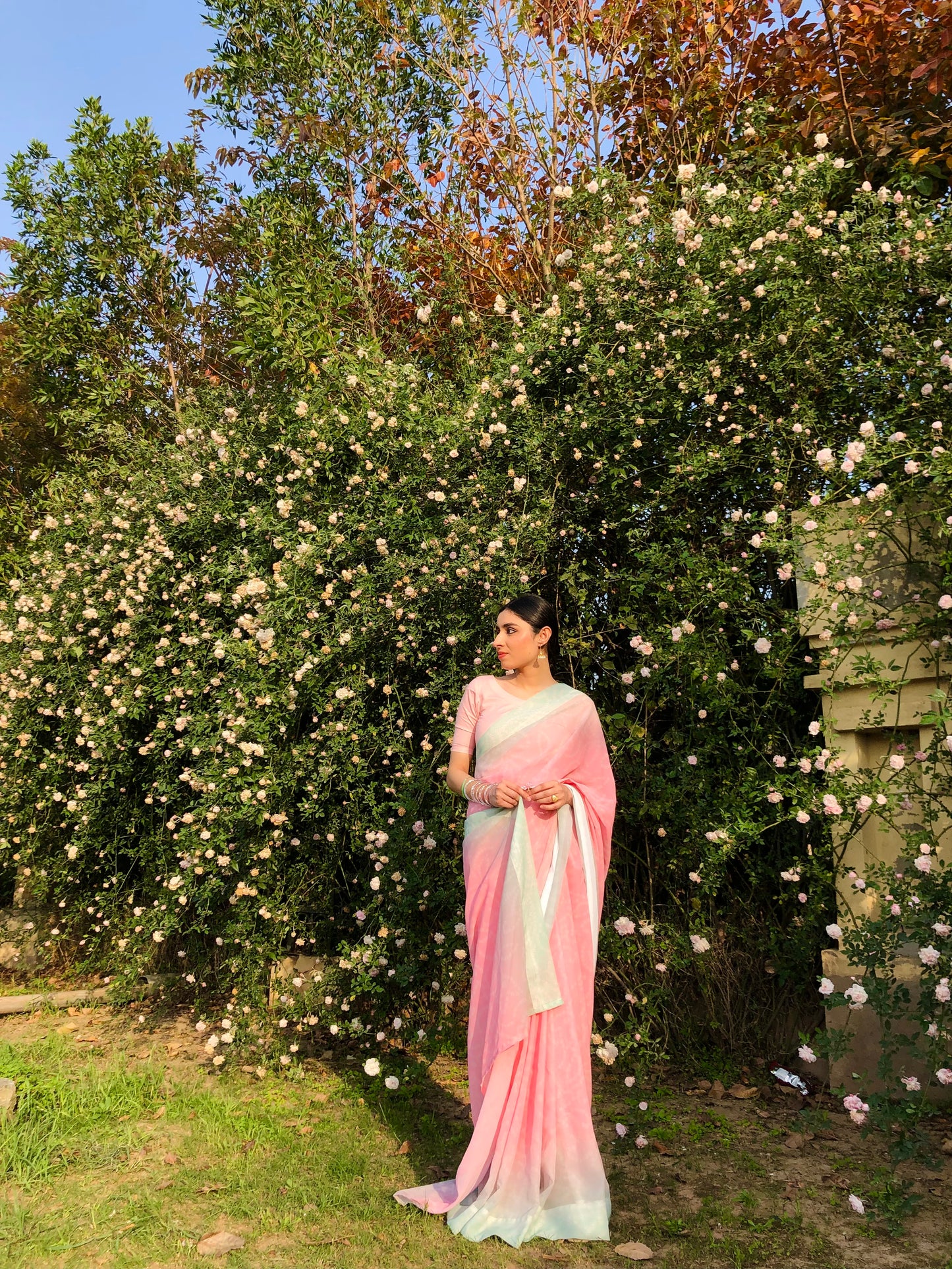Candy Pink & Pistachio
