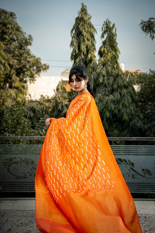 Basant Festival Saree Guide: Yellow, Floral & Festive Styles
