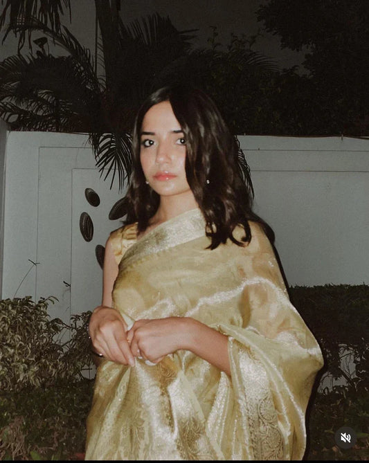 Your Guide to Buying Tissue Silk Sarees Online | Saareeka