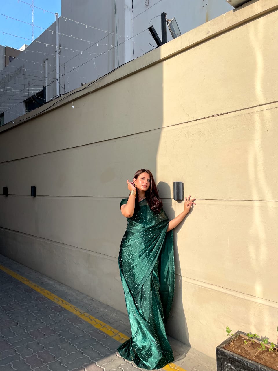 Evergreen Shine