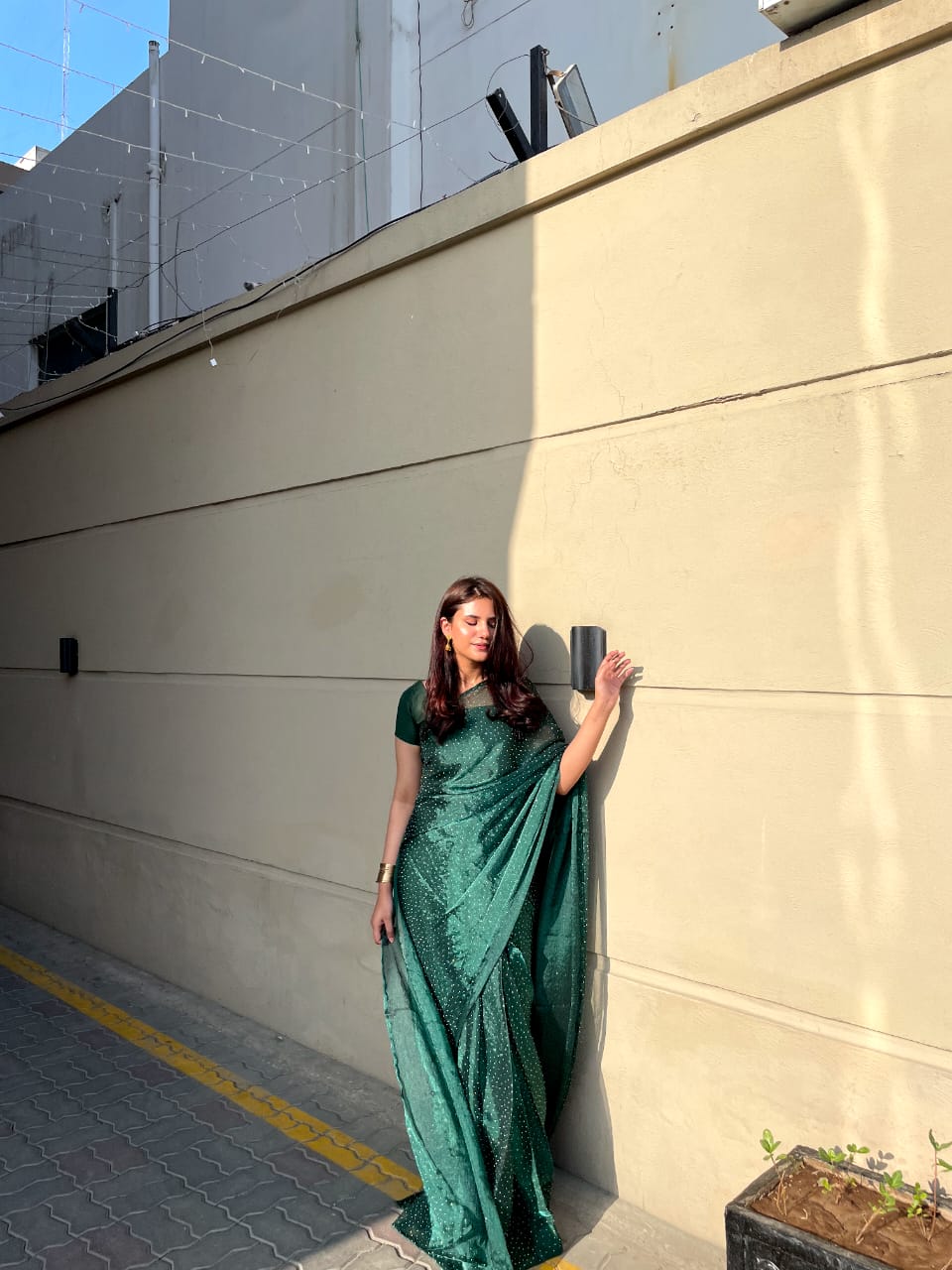 Evergreen Shine
